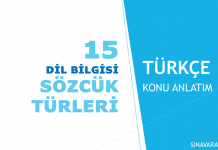 SÖZCÜK TÜRLERİ