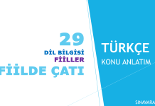 FİİLDE ÇATI KPSS Türkçe fiilde çatı konu anlatımı kapak görseli