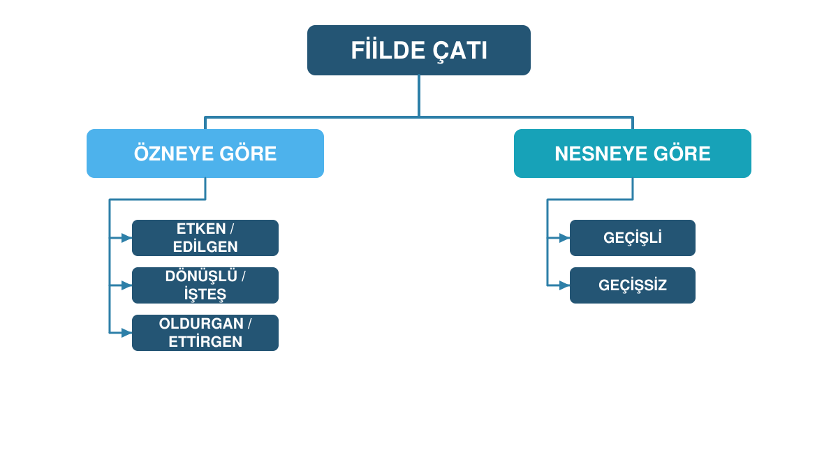 Fiilde çatıyı özne ve nesne ilişkisine göre sınıflandıran diyagram