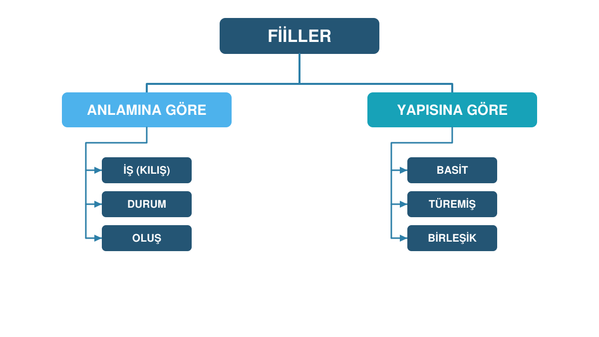 Fiilleri anlamına ve yapısına göre sınıflandıran diyagram