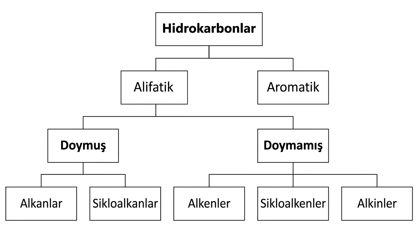 Hidrokarbonların alifatik ve aromatik, alifatiklerin doymuş ve doymamış olarak ayrıldığı sınıflandırma ağacı