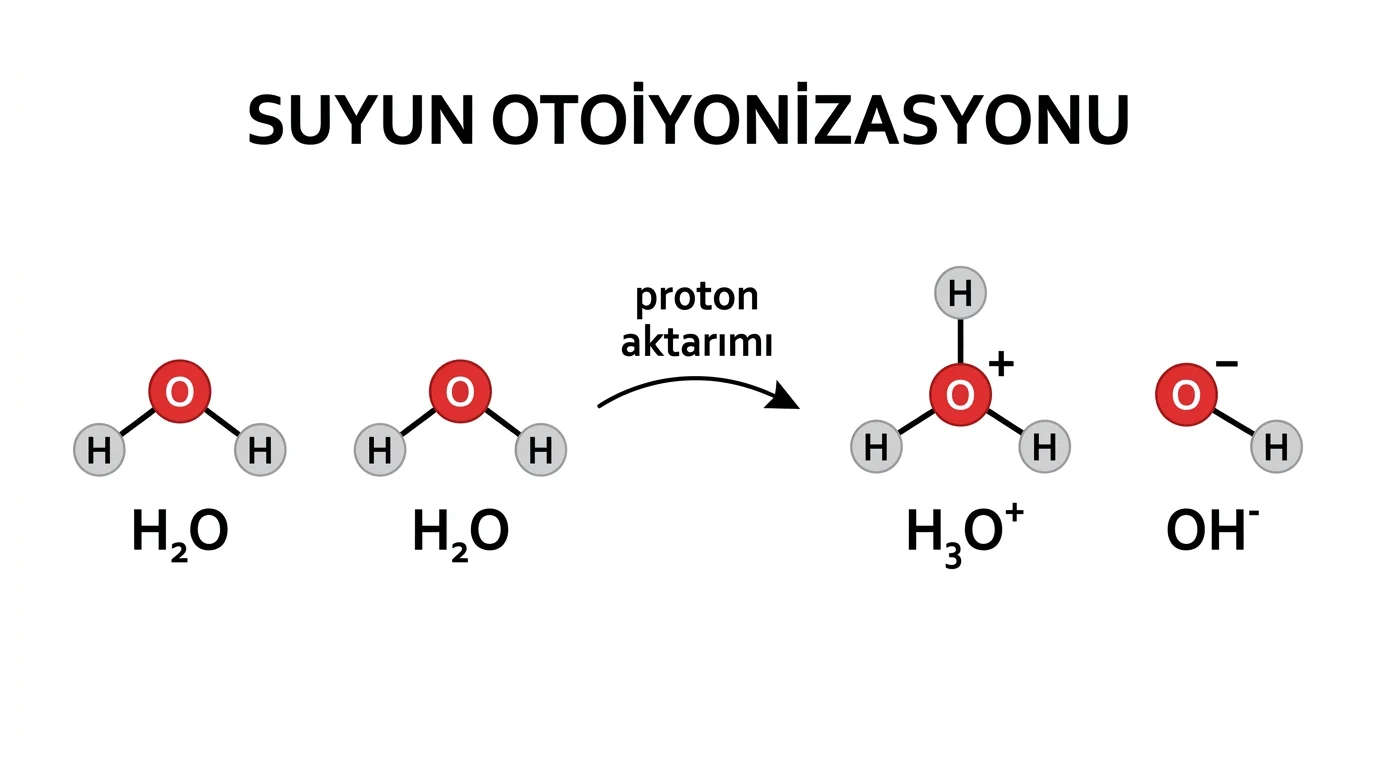 Bir su molekülünden diğerine proton aktarımıyla hidronyum ve hidroksit iyonlarının oluşmasını gösteren moleküler şema