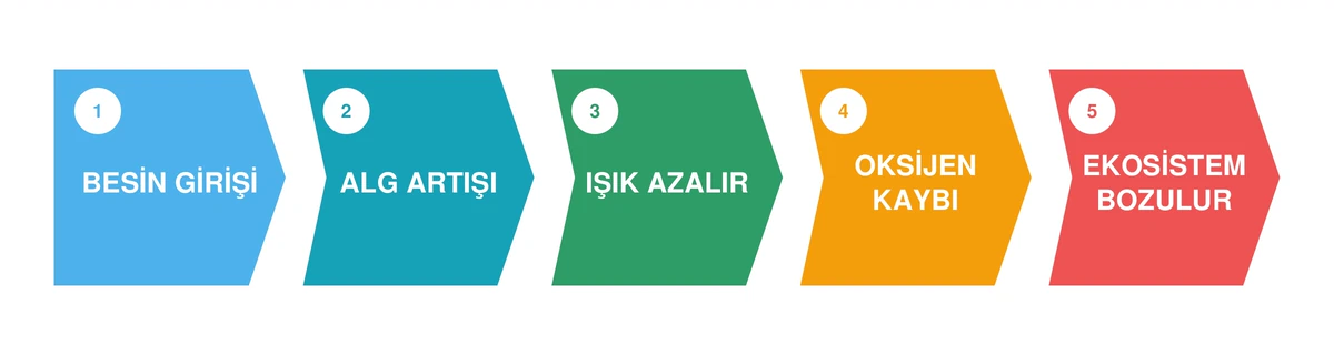 Azot ve fosfor girişinden oksijen kaybı ve ekosistem bozulmasına uzanan ötrofikasyon süreci