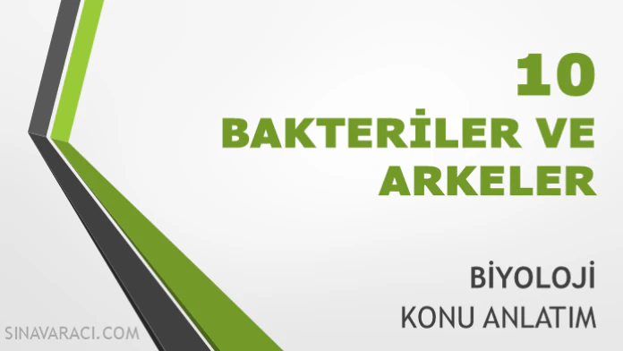 TYT Bakteriler ve Arkeler Konu Anlatımı TYT bakteriler ve arkeler konu anlatımı kapak görseli