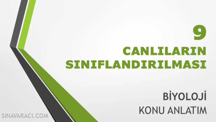 Canlıların Sınıflandırılması TYT Biyoloji Konu Anlatımı TYT canlıların sınıflandırılması konu anlatımı kapağı