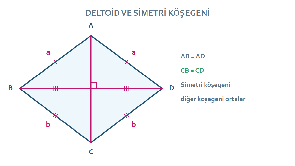 Deltoidin simetri köşegeni ve dik köşegenleri
