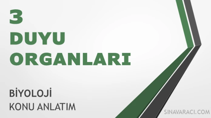 AYT Duyu Organları Konu Anlatımı AYT Biyoloji Duyu Organları konu anlatımı kapak görseli