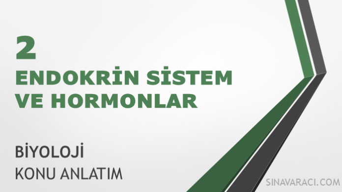 AYT Endokrin Sistem ve Hormonlar AYT Biyoloji Endokrin Sistem ve Hormonlar konu anlatımı kapağı