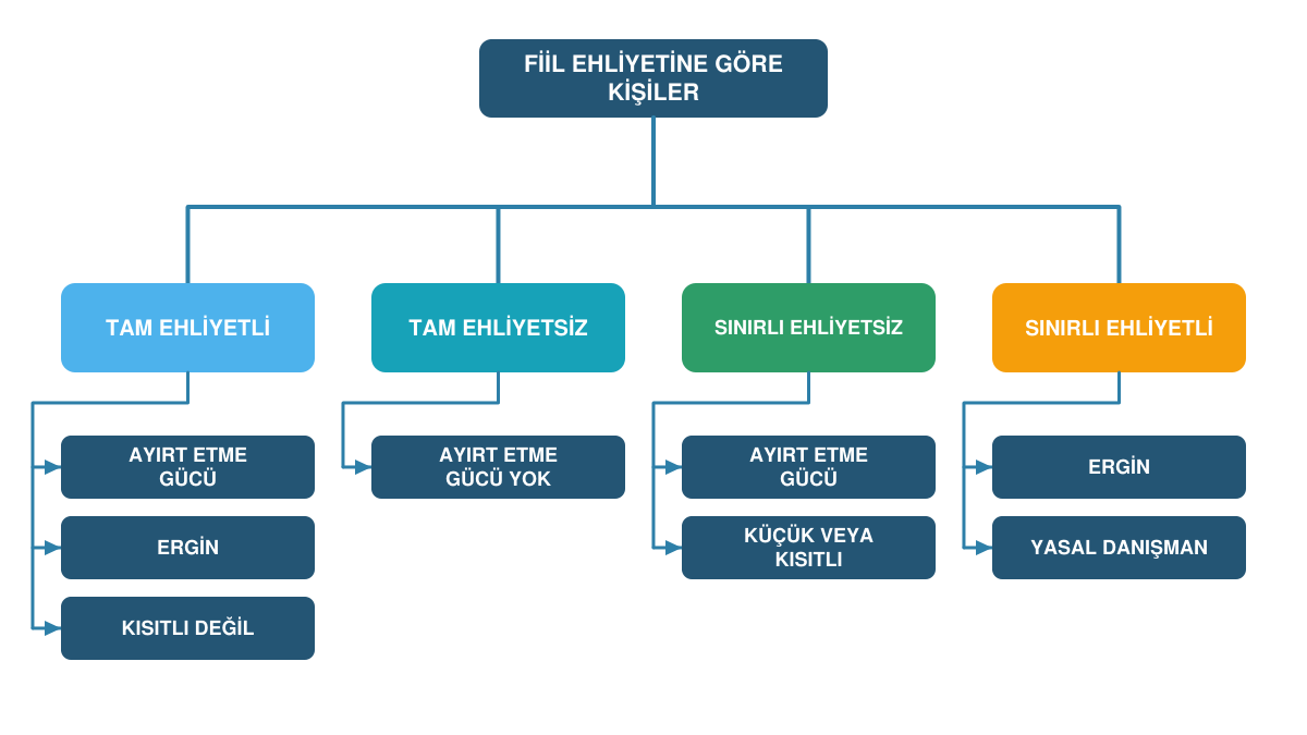 Gerçek kişileri fiil ehliyetine göre dört grupta gösteren sınıflandırma