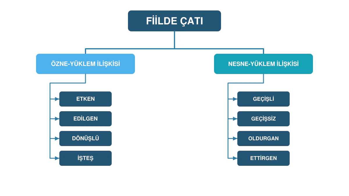 Fiilde çatıyı özne yüklem ve nesne yüklem ilişkisine göre gösteren TYT Türkçe diyagramı