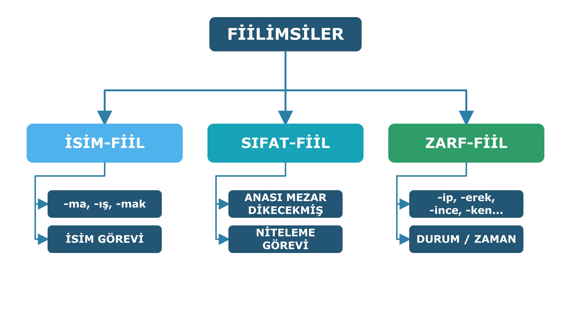 İsim-fiil, sıfat-fiil ve zarf-fiil türlerini ekleri ve cümledeki görevleriyle gösteren TYT Türkçe diyagramı