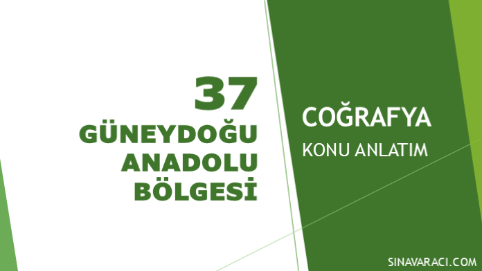 Güneydoğu Anadolu Bölgesi | KPSS Coğrafya Konu Anlatımı Güneydoğu Anadolu Bölgesi KPSS Coğrafya konu anlatımı kapak görseli