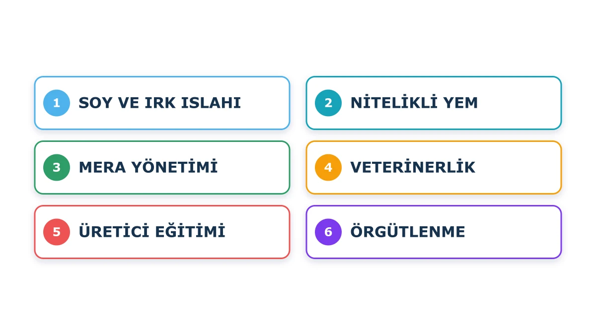 Soy ve ırk ıslahı, nitelikli yem, mera yönetimi, veterinerlik, üretici eğitimi ve örgütlenme