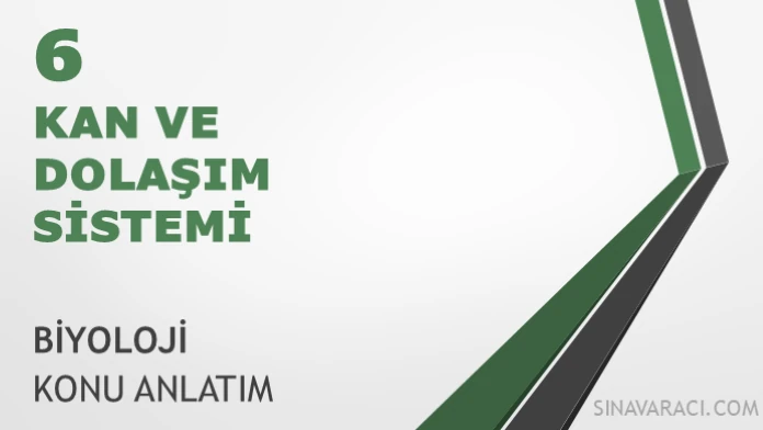 AYT Kan ve Dolaşım Sistemi AYT kan ve dolaşım sistemi biyoloji konu anlatımı kapağı