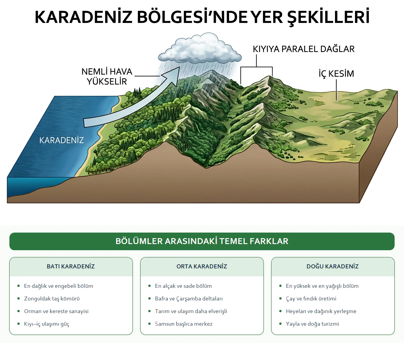 Karadeniz Bölgesi'nde kıyıya paralel dağları, dar kıyı şeridini, orografik yağışı ve Batı, Orta, Doğu Karadeniz bölümlerinin farklarını gösteren eğitim görseli