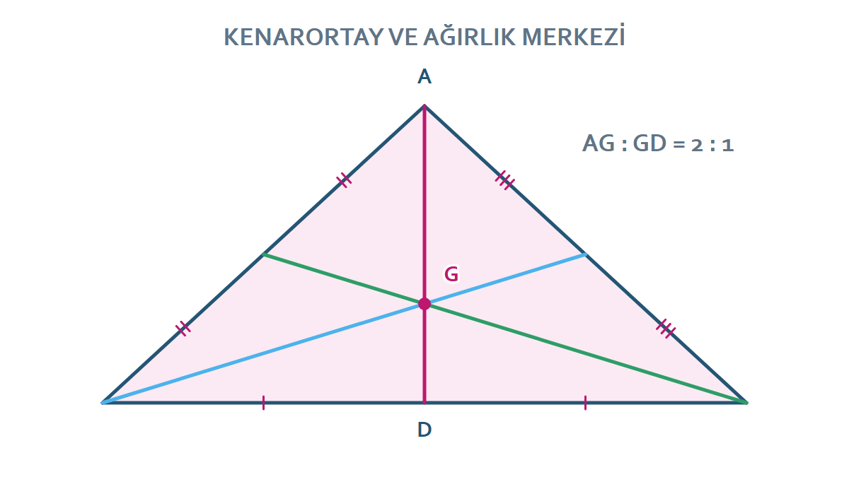 Üç kenarortayın ağırlık merkezinde kesişmesini ve 2 ye 1 oranını gösteren çizim