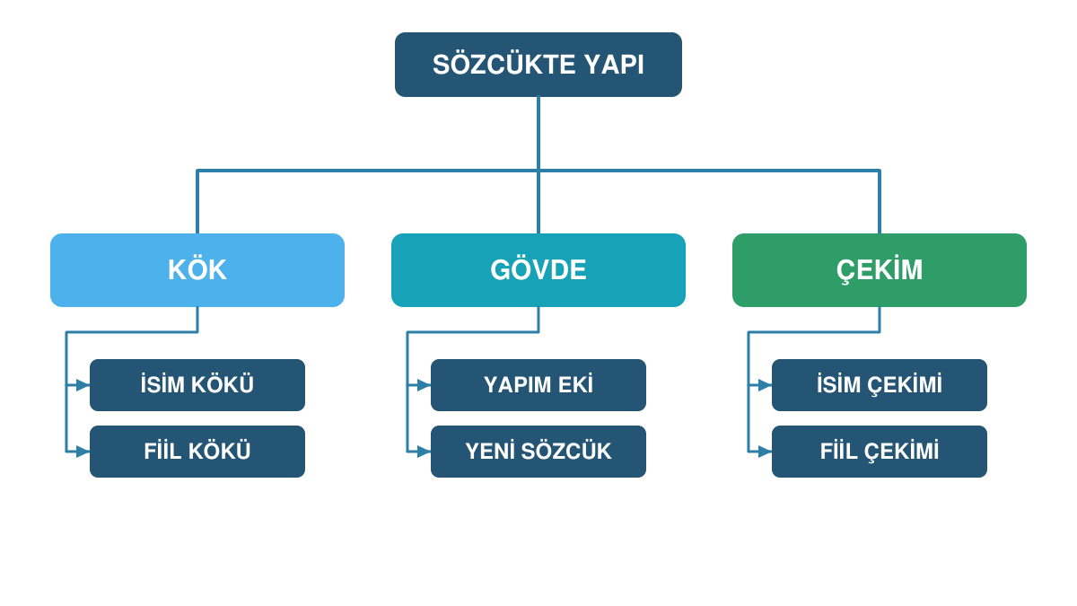 Sözcükte yapı konusundaki kök, gövde, yapım eki ve çekim eki ilişkisini gösteren diyagram