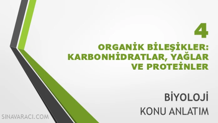 TYT Organik Bileşikler Karbonhidratlar Yağlar ve Proteinler TYT organik bileşikler karbonhidratlar yağlar ve proteinler konu anlatımı kapağı
