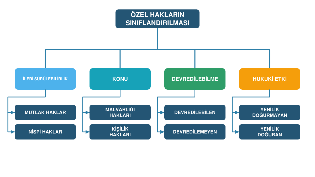 Özel hakları dört farklı ölçüte göre sınıflandıran diyagram