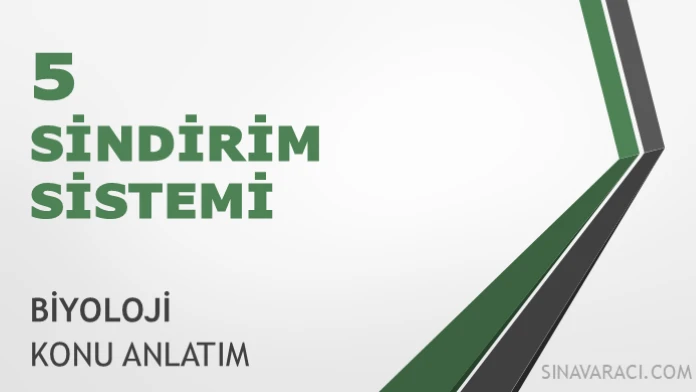 AYT Sindirim Sistemi Konu Anlatımı AYT biyoloji sindirim sistemi konu anlatımı kapağı