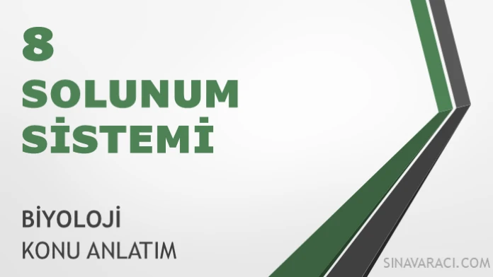 AYT Solunum Sistemi Konu Anlatımı AYT Biyoloji Solunum Sistemi konu anlatımı kapak görseli