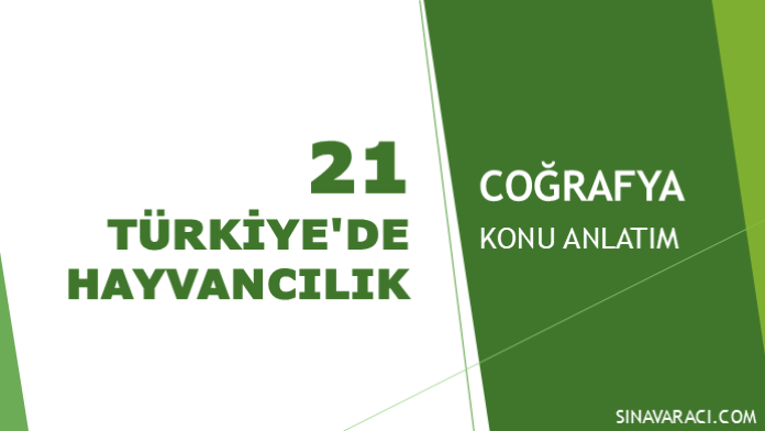Türkiye'de Hayvancılık KPSS Coğrafya Konu Anlatımı Türkiye'de hayvancılık KPSS Coğrafya konu anlatımı kapağı