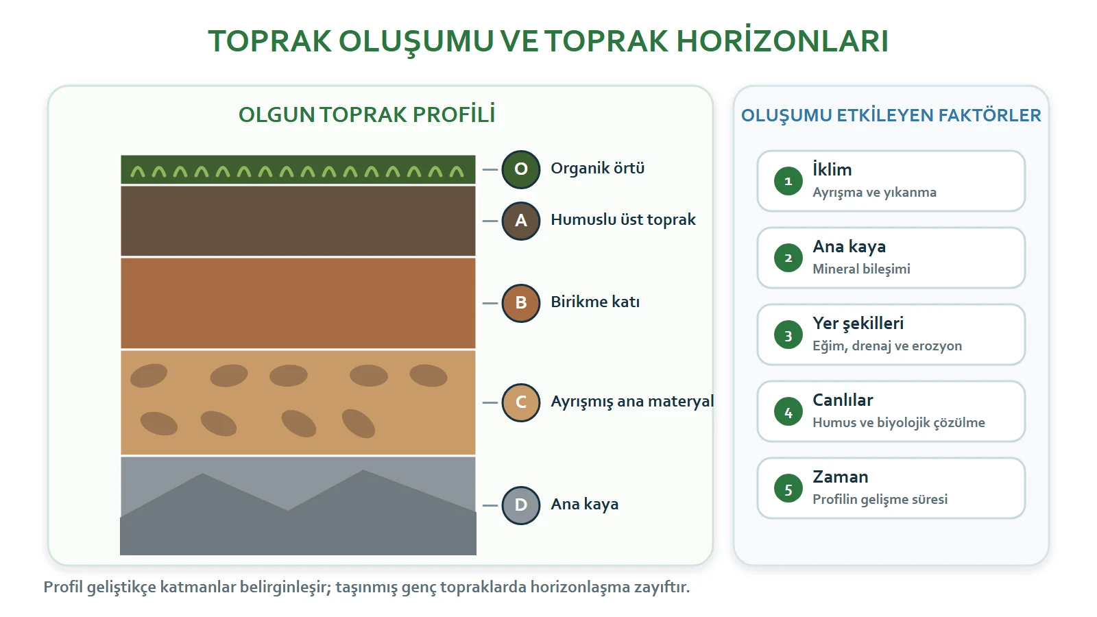 Toprak oluşumunu etkileyen faktörler ile O, A, B, C ve D horizonları