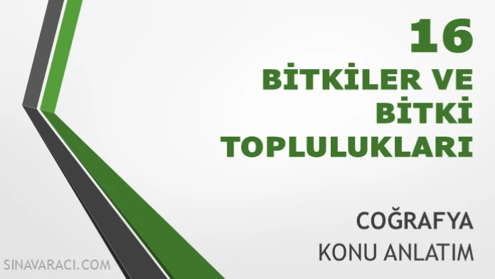 Bitkiler ve Bitki Toplulukları TYT Coğrafya Konu Anlatımı TYT Coğrafya Bitkiler ve Bitki Toplulukları konu anlatımı kapağı