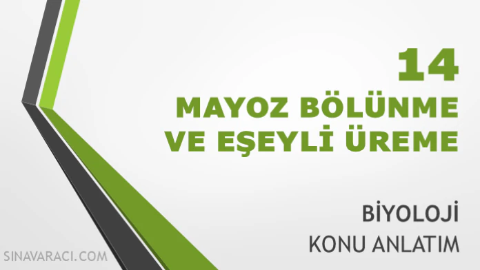 TYT Mayoz Bölünme ve Eşeyli Üreme Konu Anlatımı TYT Mayoz Bölünme ve Eşeyli Üreme konu anlatımı kapağı