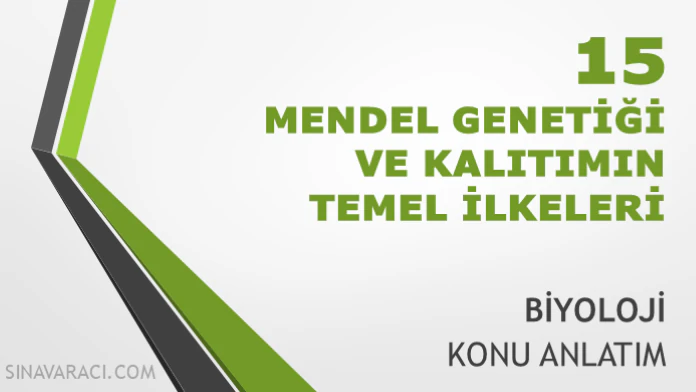 TYT Mendel Genetiği ve Kalıtımın Temel İlkeleri Konu Anlatımı TYT Mendel genetiği ve kalıtımın temel ilkeleri konu anlatımı kapağı