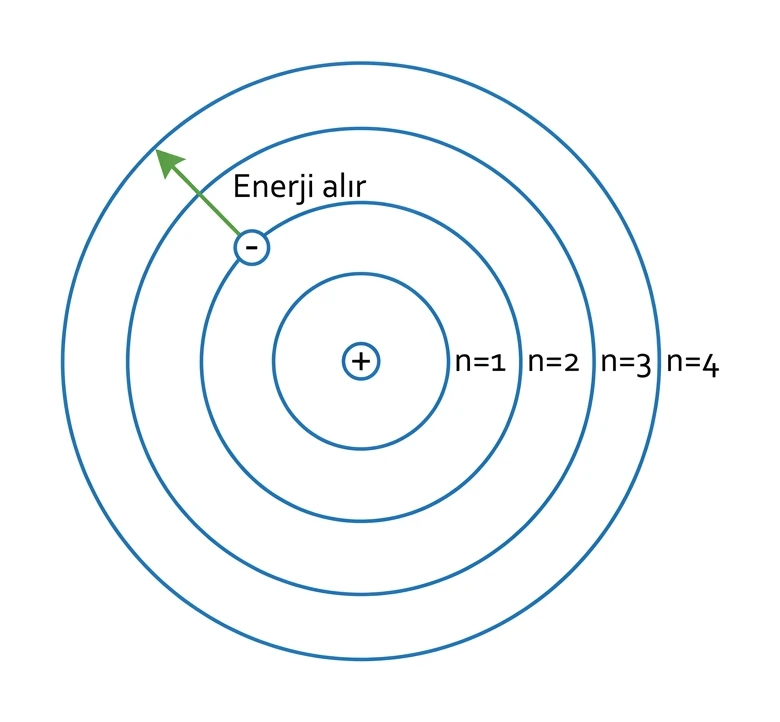 Bohr modelinde n eşittir 1 ile 4 arasındaki kararlı yörüngeler ve enerji alan elektron