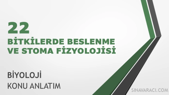 AYT Bitkilerde Beslenme ve Stoma Fizyolojisi AYT biyoloji bitkilerde beslenme ve stoma fizyolojisi konu anlatımı kapağı