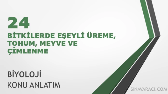 AYT Bitkilerde Eşeyli Üreme, Tohum, Meyve ve Çimlenme AYT bitkilerde eşeyli üreme, tohum, meyve ve çimlenme konu anlatımı