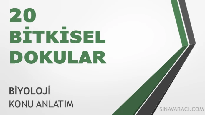 AYT Bitkisel Dokular AYT biyoloji bitkisel dokular konu anlatımı kapağı
