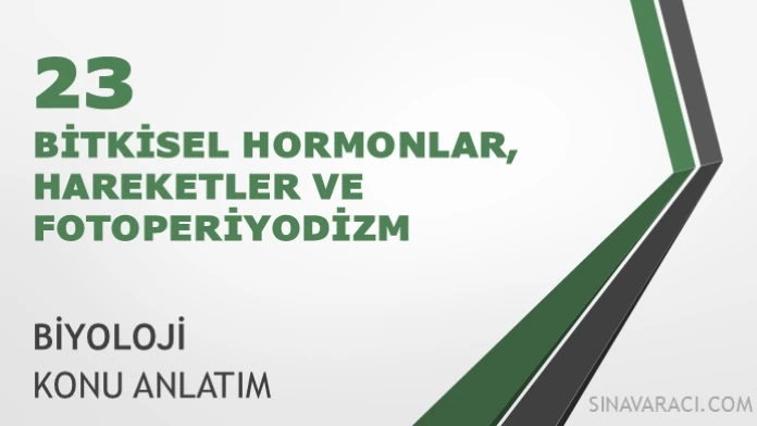 AYT Bitkisel Hormonlar, Hareketler ve Fotoperiyodizm AYT bitkisel hormonlar, hareketler ve fotoperiyodizm konu anlatımı kapağı