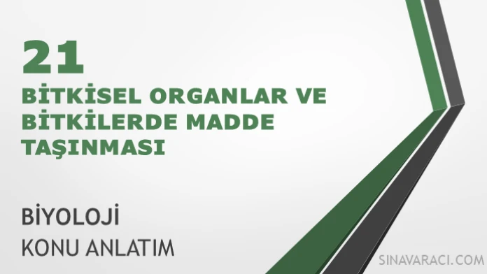 AYT Bitkisel Organlar ve Bitkilerde Madde Taşınması AYT bitkisel organlar ve bitkilerde madde taşınması konu anlatımı kapağı