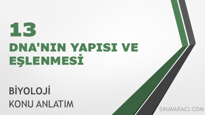 AYT DNA'nın Yapısı ve Eşlenmesi AYT DNA'nın yapısı ve eşlenmesi Biyoloji konu anlatımı kapağı