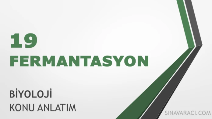 AYT Fermantasyon Konu Anlatımı AYT fermantasyon biyoloji konu anlatımı kapağı