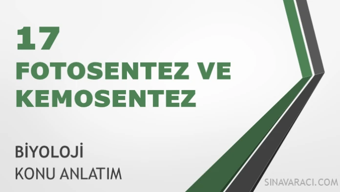 AYT Fotosentez ve Kemosentez Konu Anlatımı AYT fotosentez ve kemosentez biyoloji konu anlatımı kapağı