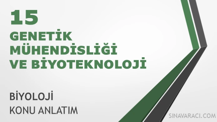AYT Genetik Mühendisliği ve Biyoteknoloji Konu Anlatımı AYT Biyoloji Genetik Mühendisliği ve Biyoteknoloji konu anlatımı kapak görseli