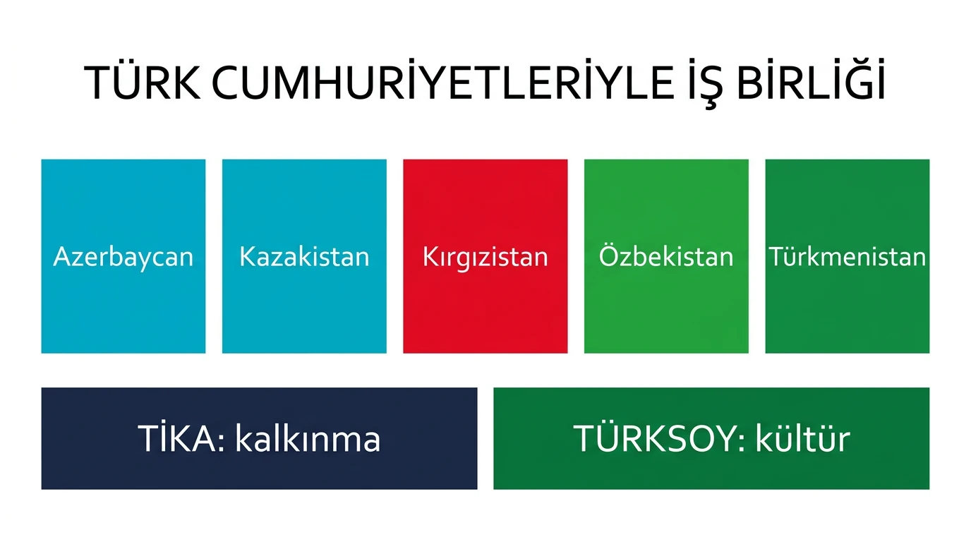 Beş bağımsız Türk cumhuriyetini TİKA ve TÜRKSOY ile ilişkilendiren iş birliği ağı